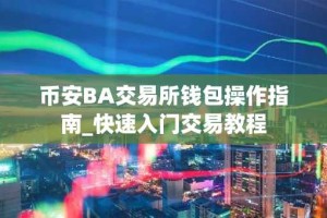币安BA交易所钱包操作指南_快速入门交易教程