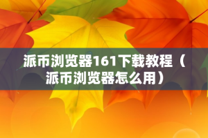 派币浏览器161下载教程（派币浏览器怎么用）