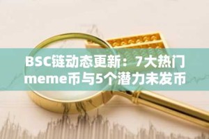 BSC链动态更新：7大热门meme币与5个潜力未发币项目