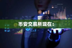 币安交易所现在：