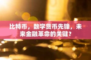 比特币，数字货币先锋，未来金融革命的关键？