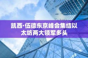 凯西·伍德东京峰会集结以太坊两大领军多头