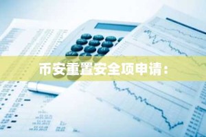 币安重置安全项申请：