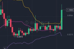 瑞波币2023年涨幅分析，涨幅达XX%，背后原因解读