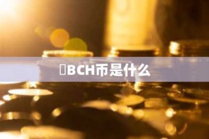 ​BCH币是什么