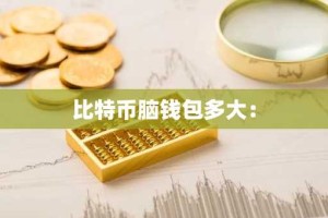 比特币脑钱包多大：