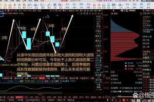 波场钱包投票管理：波场钱包空投