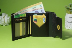 可以存dot的钱包：能存shib的钱包