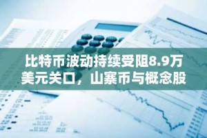 比特币波动持续受阻8.9万美元关口，山寨币与概念股逆势走强