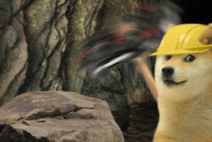 100元可购买多少狗狗币？最新价格分析及市场动态