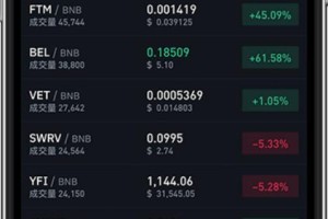 BNB交易所币种：bnb币交易所下载