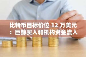 比特币目标价位 12 万美元：巨鲸买入和机构资金流入预示着牛市反弹