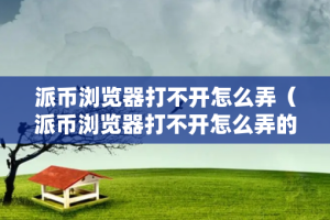 派币浏览器打不开怎么弄（派币浏览器打不开怎么弄的）