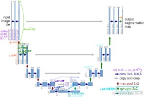 hpt怎么空投：hpt如何获得空投