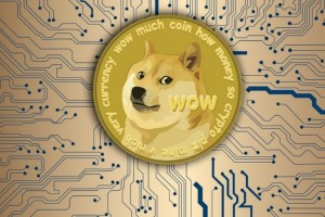 狗狗币历史最高价与最低价分析 狗狗币价格波动影响因素详解