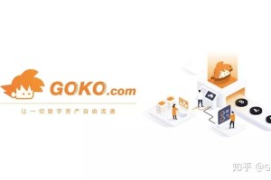 GOKO交易所登不了：goko交易所打不开
