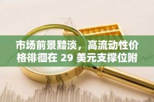 市场前景黯淡，高流动性价格徘徊在 29 美元支撑位附近，19 美元的回调目标成为关注焦点。