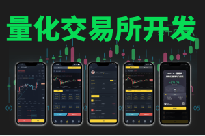 数字交易所不正规：数字交易所不正规吗