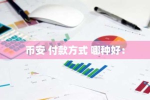 币安 付款方式 哪种好：