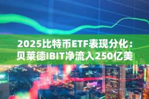 2025比特币ETF表现分化：贝莱德IBIT净流入250亿美元